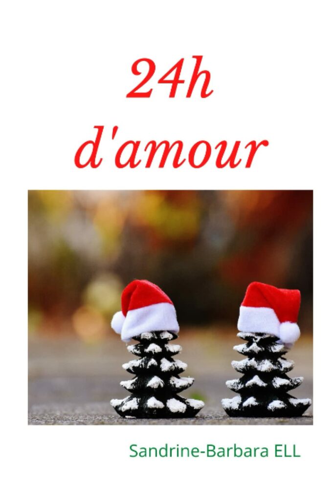 Couverture de 24h d'Amour de Sandrine-Barbara Ell